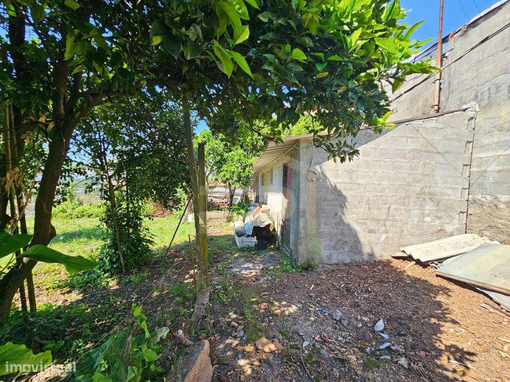 Moradia para Restauro em Mouquim-9