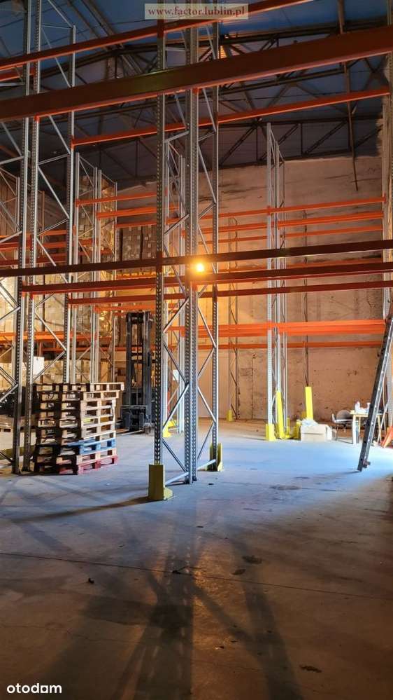 Hala 700 mkw 11zł/mkw - Pełny obrazek: 4/4