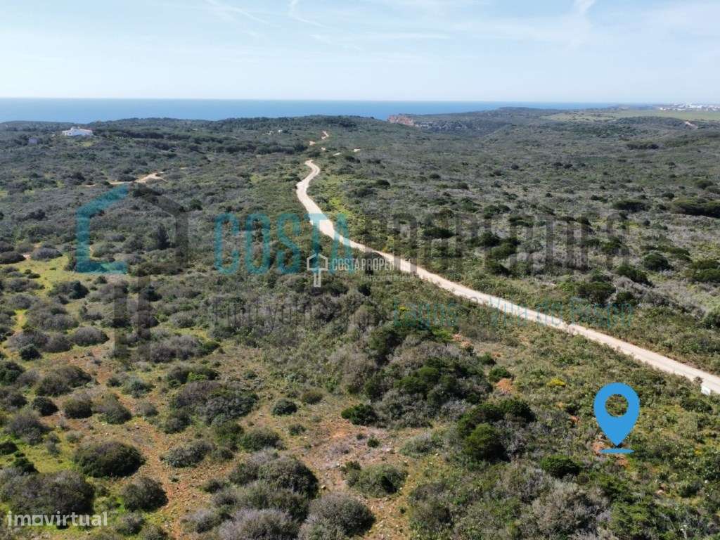 Terreno Rústico com 8000m2 a caminho das Praias - Grande imagem: 4/20