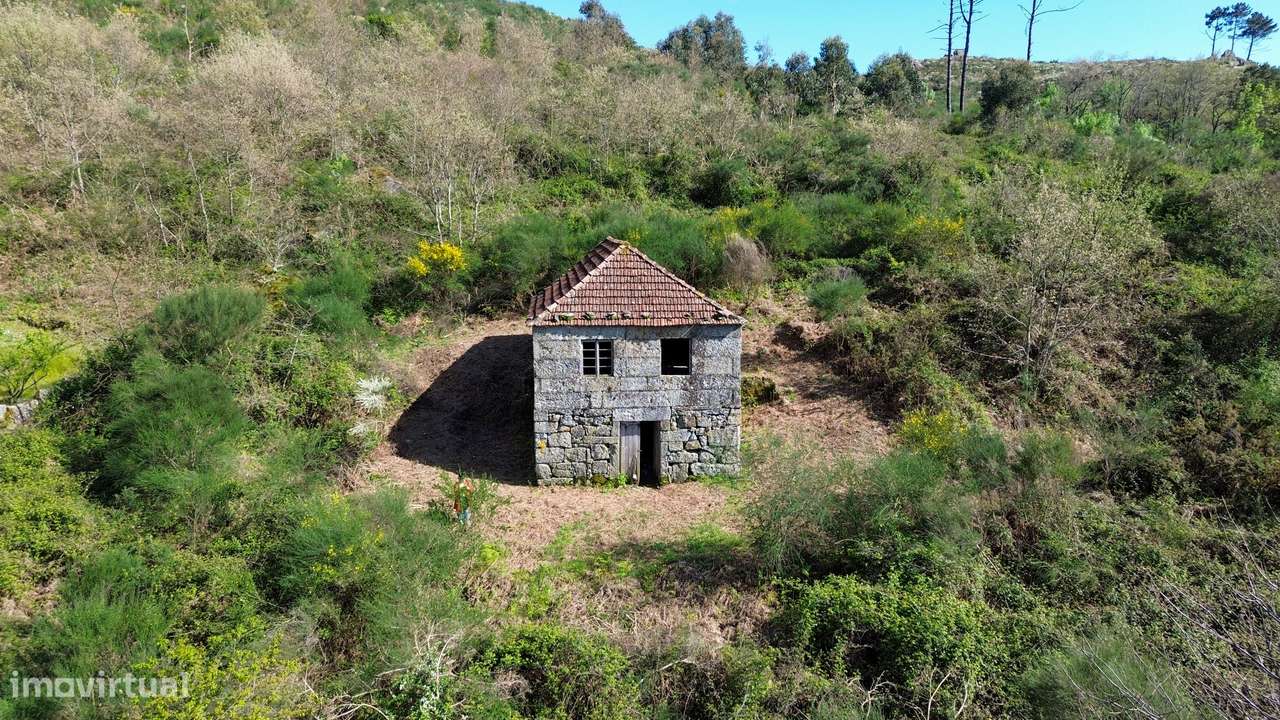 Quinta T2+1 Venda em Gestaçô,Baião - Grande imagem: 4/32