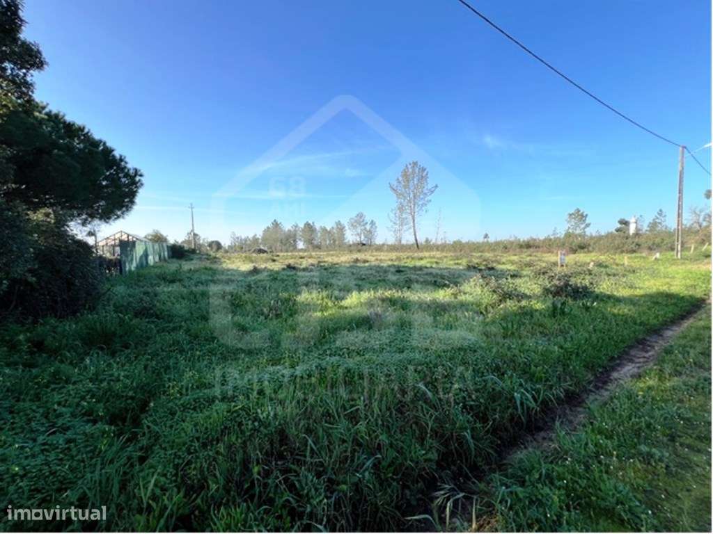 Terreno Rústico Foros da Charneca - Grande imagem: 4/4