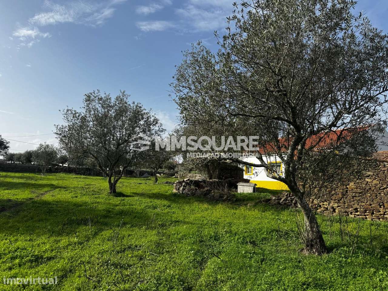 Quintinha T3 Venda em Ourique,Ourique - Grande imagem: 5/28