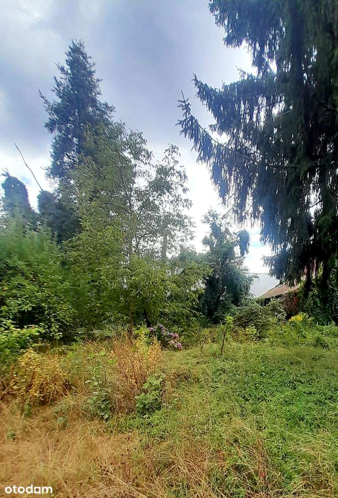 Działka budowlana 1500 mkw Konstancin/Klarysew-0