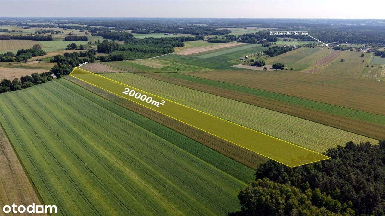 Duża działka w pobliżu rzeki Sona - Pełny obrazek: 4/10