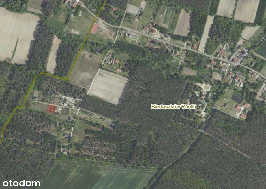 Działka budowlana w okolicy Lasu - media w drodze-1