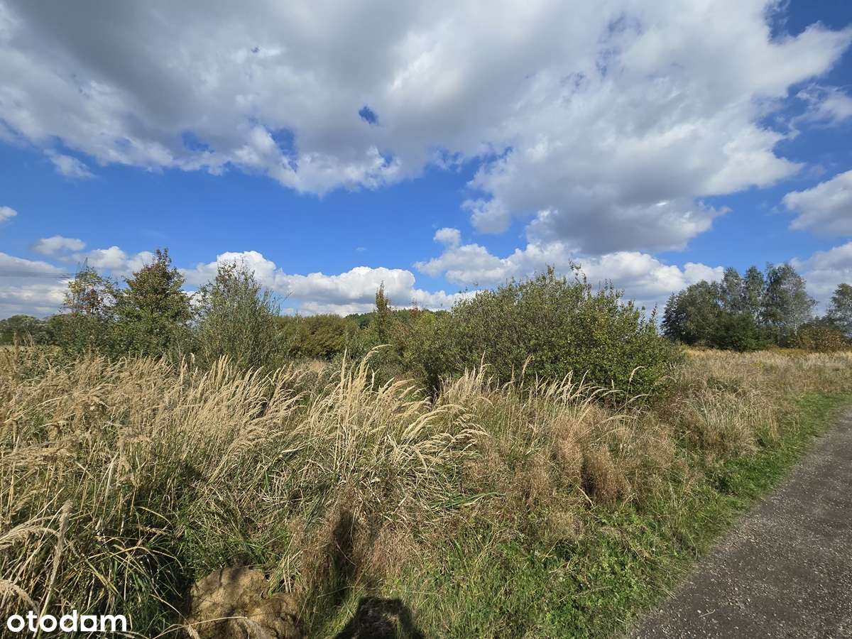 Preczów, działka budowlana, media przy działce w drodze, spokojne miej-2
