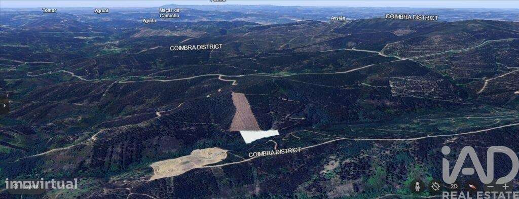 Terreno Agrícola em Espinhal de 8550,00 m2 - Grande imagem: 5/12