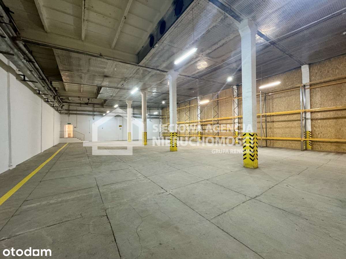 Magazyn na wynajem Gdańsk Nowy Port - Pełny obrazek: 2/5