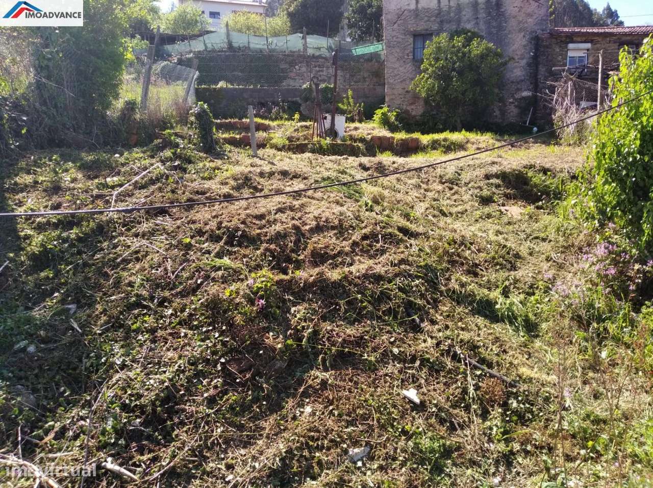 Terreno com Ruína a 25 minutos de Coimbra-6