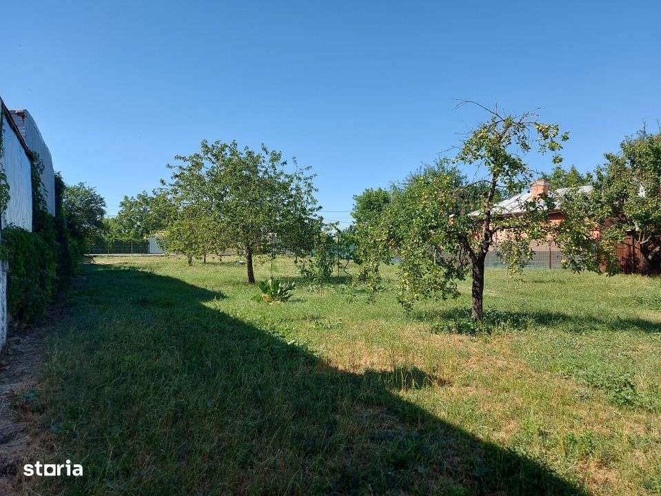 O proprietate imobiliara deosebita, formata din casa si mult teren!-4