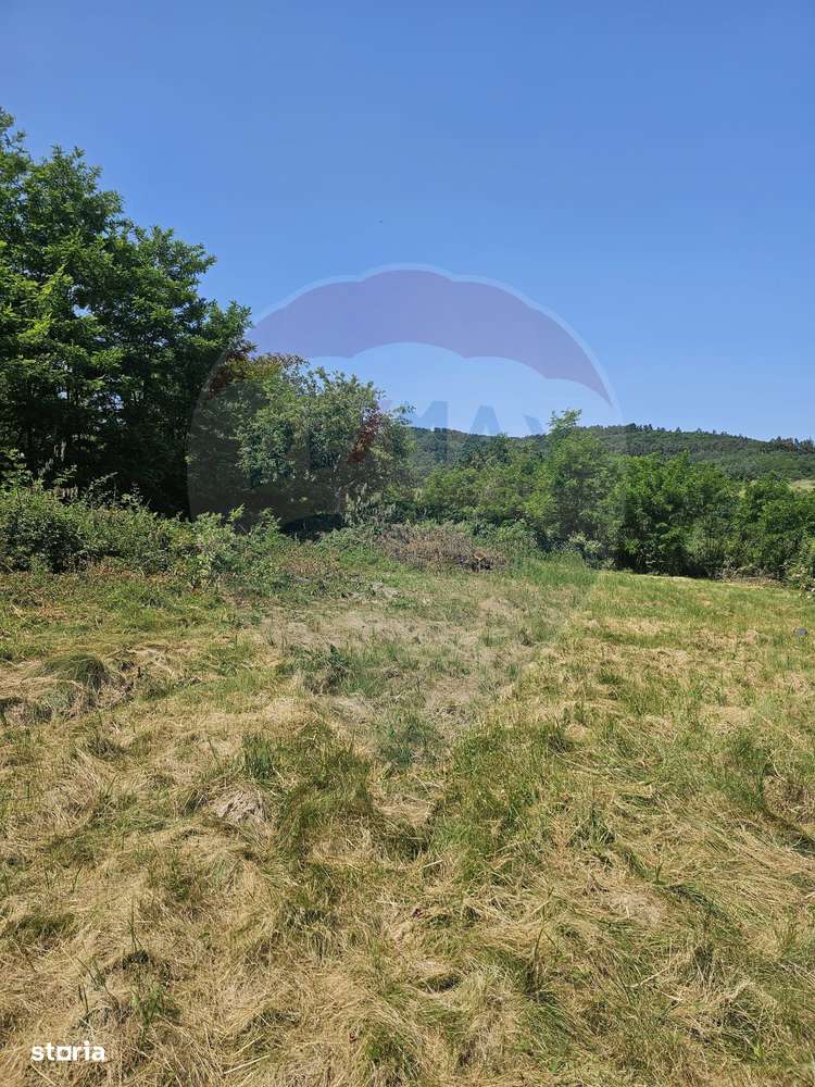 Teren  intravilan  de vanzare Oras  Saliste  Strada Livezii Jud Sibiu - Imagine principală: 5/20