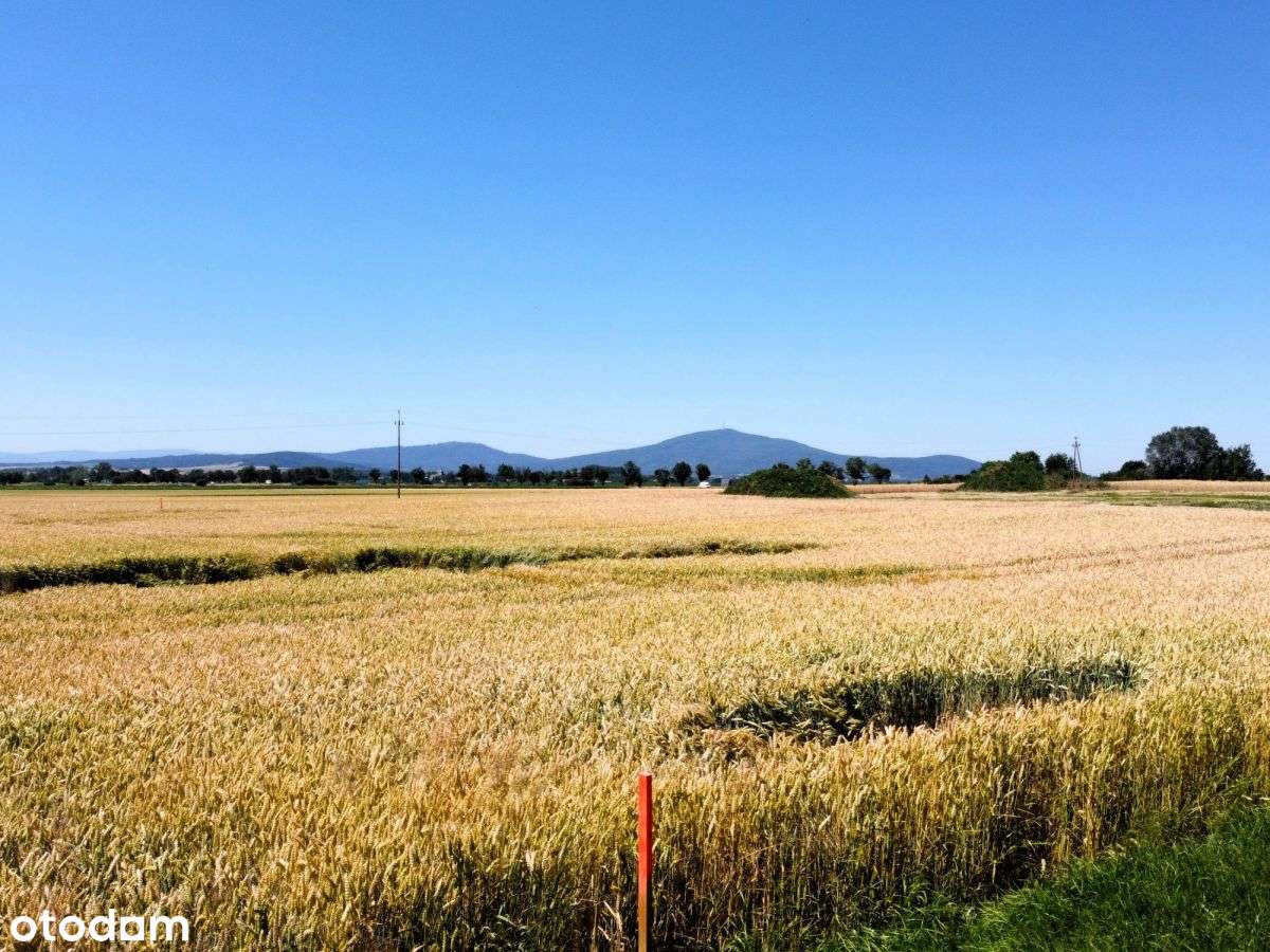 Widok na Ślężę | 1500 m² | 27 km od Wrocławia-2