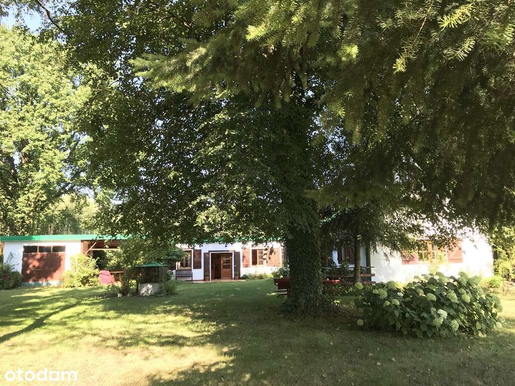 Duża zabudowana działka w Nosach-Poniatkach-10