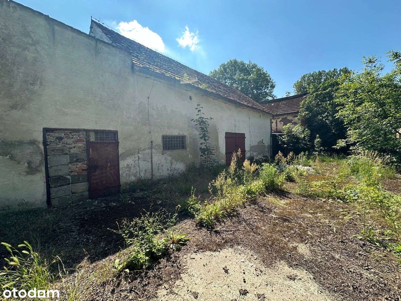 Nieruchomość z potencjałem - zabudowania/działka-16