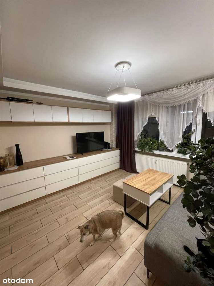 Po remoncie!! Dwa pokoje!! Gotowe do wprowadzenia!-2