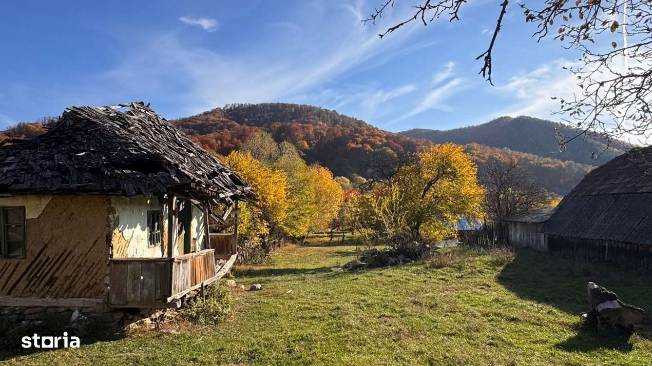 Teren Salatrucu - 7500 mp - Imagine principală: 5/8