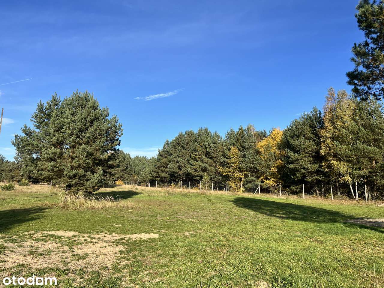 "LEŚNY ZAKĄTEK" - Olszyna koło Herb-12