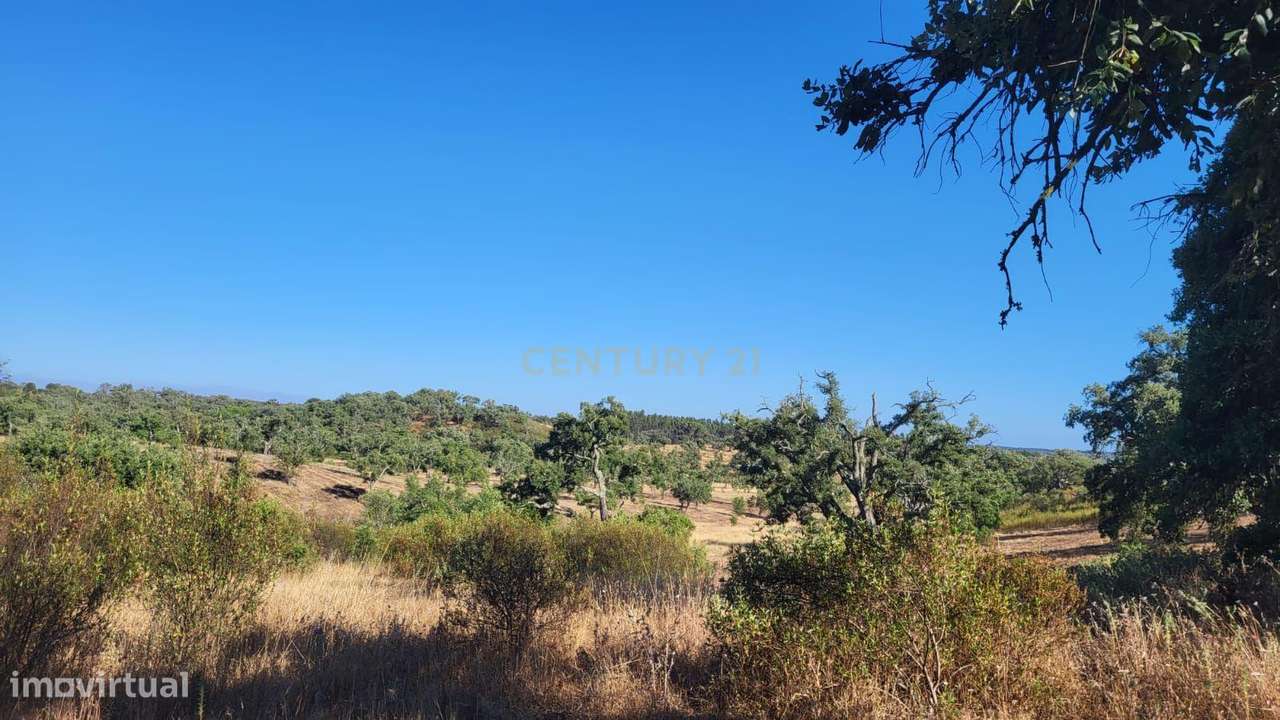 Monte Alentejano - viabilidade 6.000m2 p/ HOTEL RURAL ou 429m2 de HABI - Grande imagem: 5/11