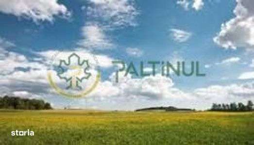 Teren de vânzare – Poplaca, Sibiu - Imagine principală: 3/11