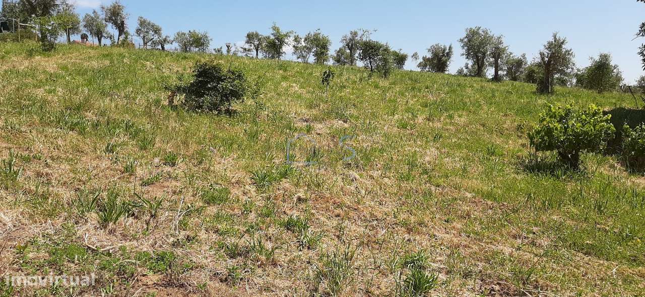 Terreno com Projeto Aprovado para Moradia em Besteiras – Águas Belas-13