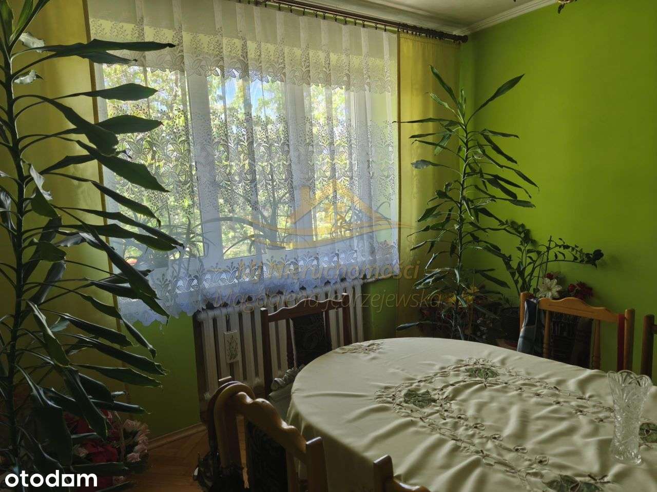 Gospodarstwo rolne 10h na sprzedaż z sadem - Pełny obrazek: 5/15