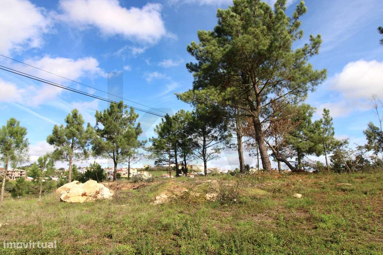 Terreno urbano com 1900m2 no Sobreiro | Mafra - Grande imagem: 2/28