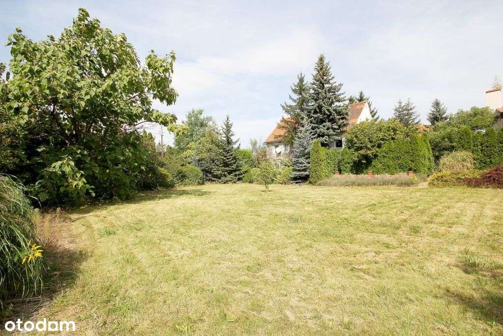 Działka budowlano-usługowa w sercu Parku - Pełny obrazek: 2/9