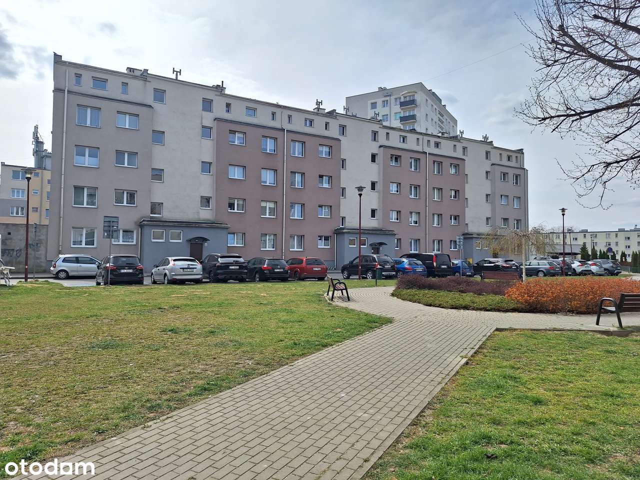Duża kawalerka na parterze - znakomita lokalizacja - Pełny obrazek: 4/16