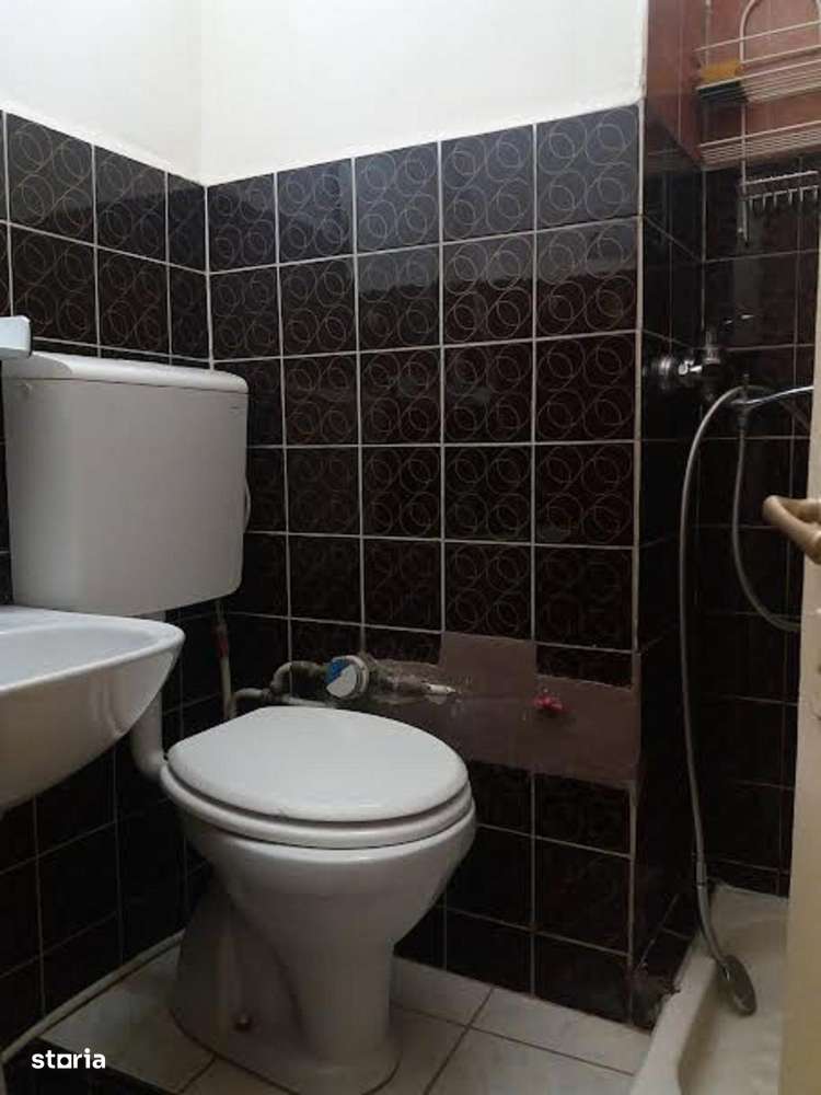 Garsoniera de vanzare, Pache  Protopopescu-3