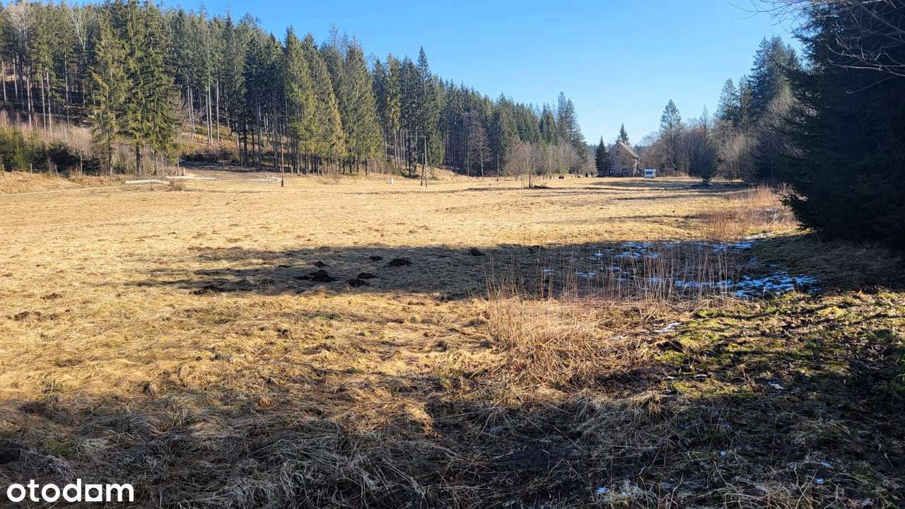 Działka budowlana, 6000 m2, Jaworzynka - Pełny obrazek: 4/13
