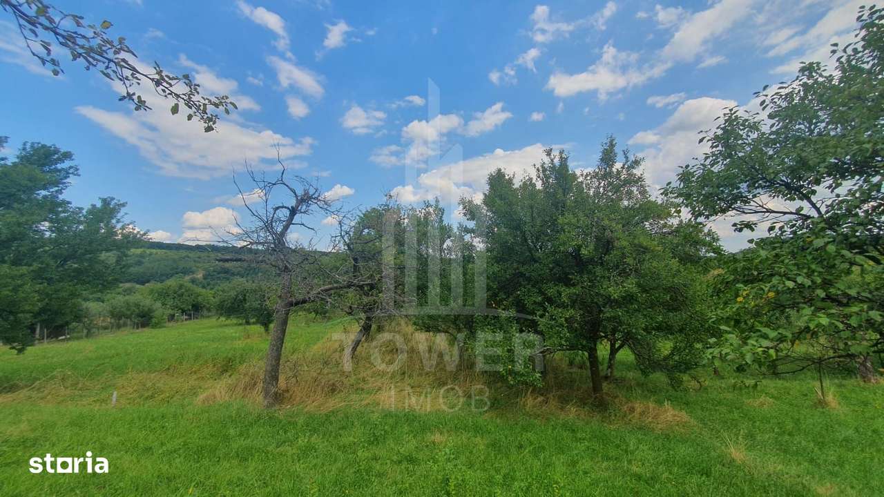 Teren de vanzare in Sibiel . - Imagine principală: 5/6