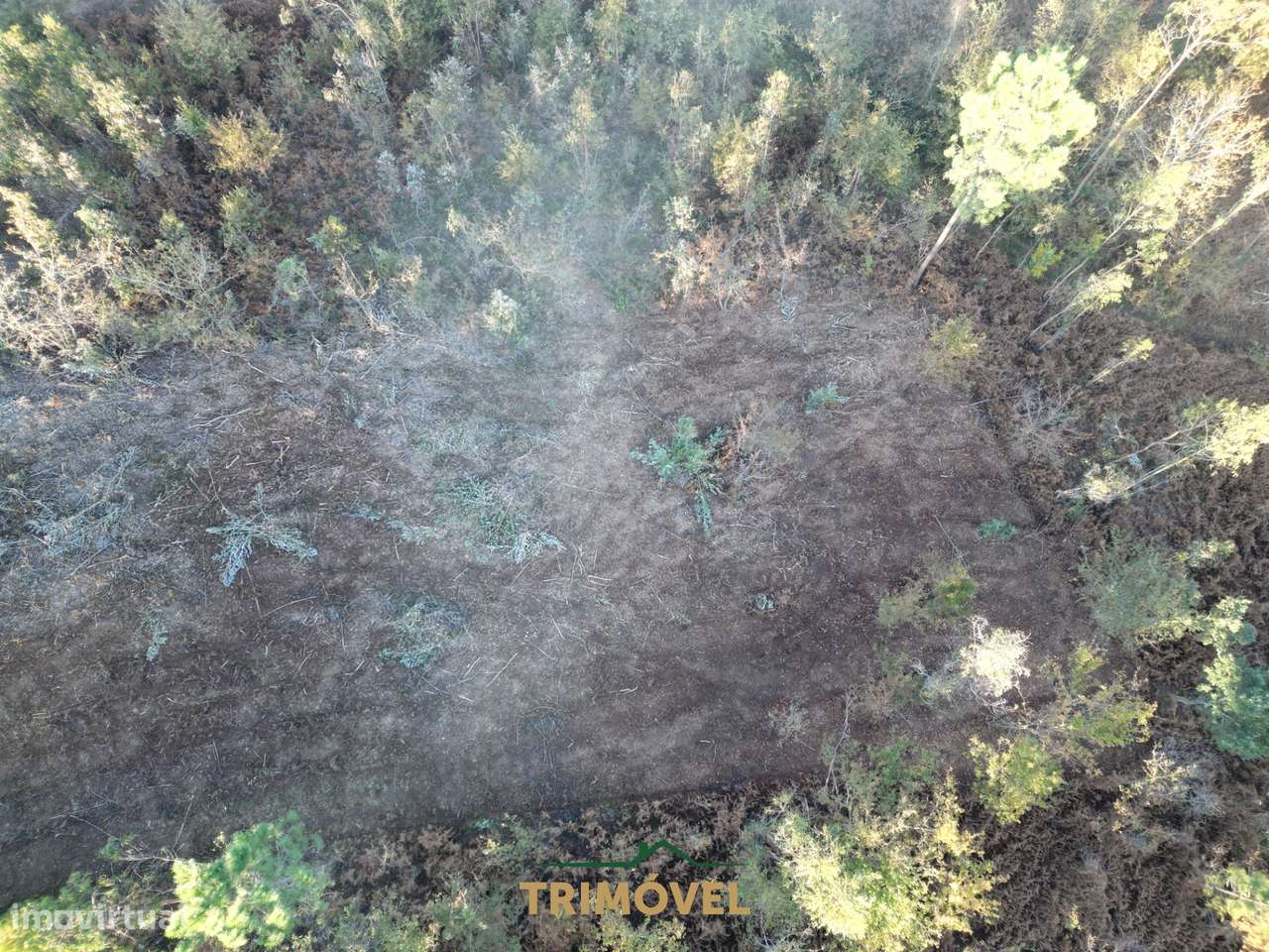 Lote de Terreno  Venda em São Roque,Oliveira de Azeméis - Grande imagem: 4/19