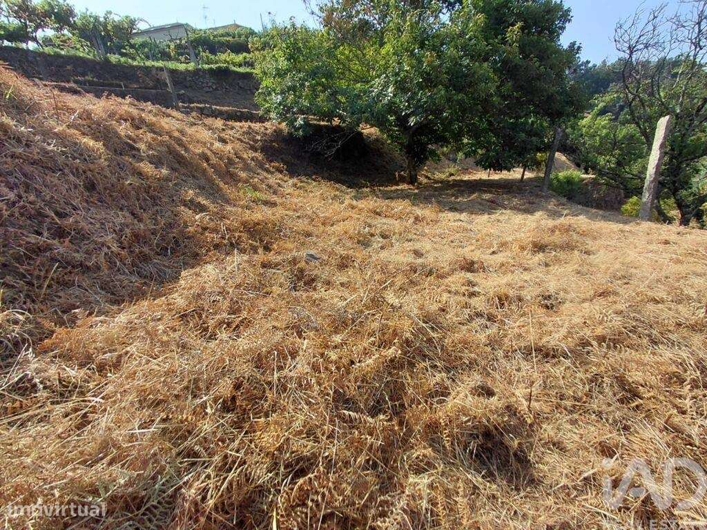 Terreno em Vila e Roussas de 1100,00 m2 - Grande imagem: 5/9