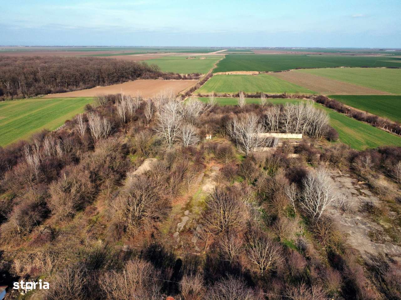 Ferma si livada de meri in judetul Ilfov-12