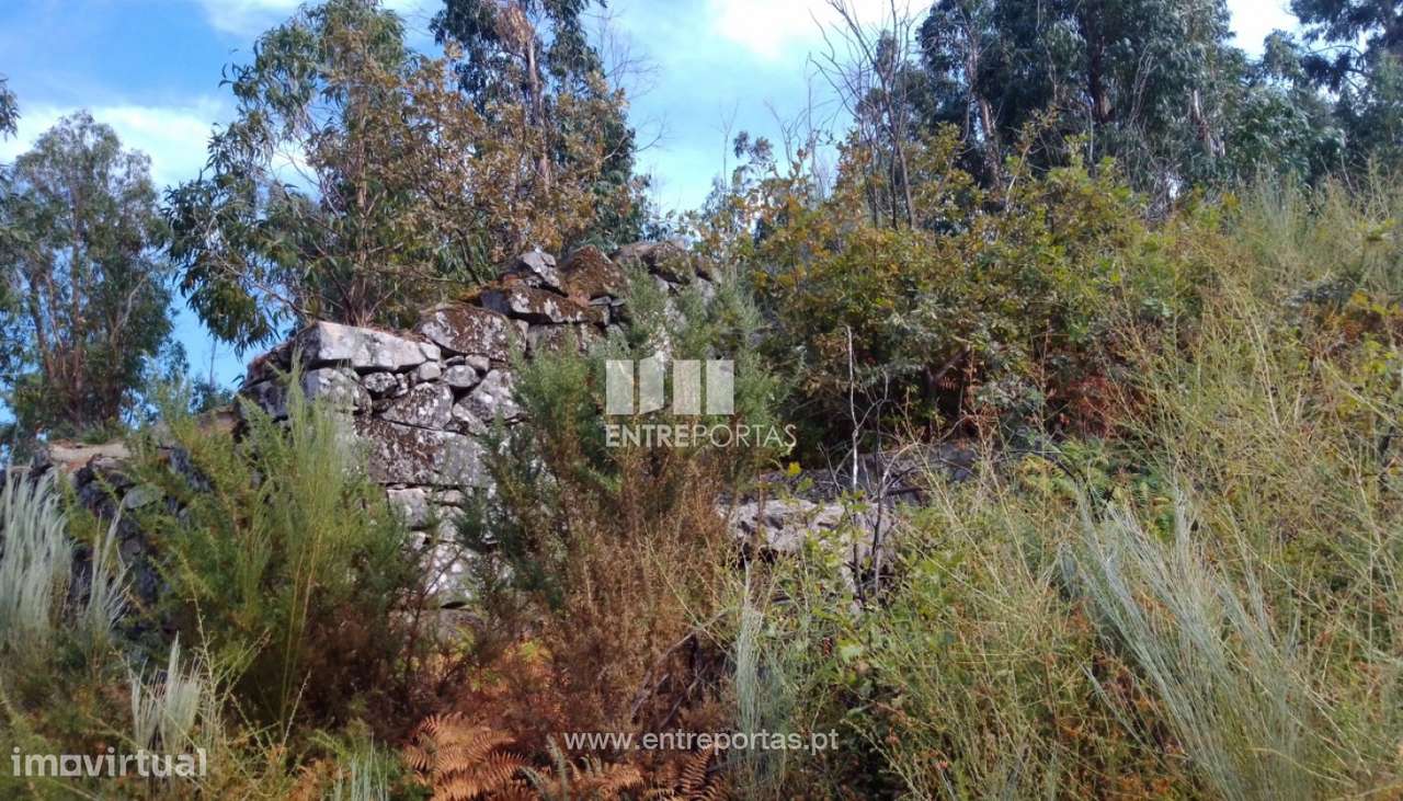 Venda Terreno com viabilidade de construção, Cinfães - Grande imagem: 3/26