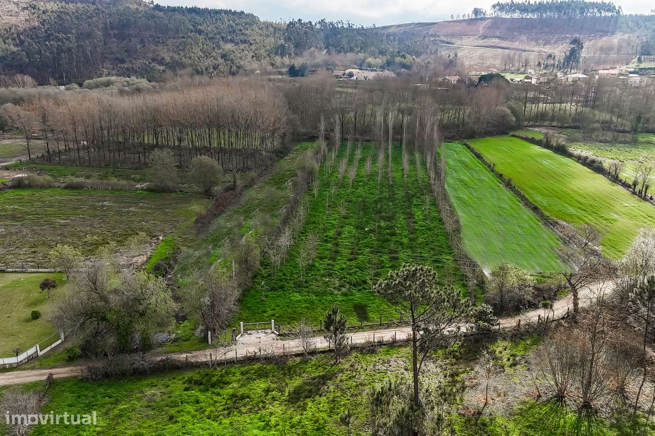 Terreno Rústico  Venda em Associação de freguesias do Vale do Neiva,Po-4