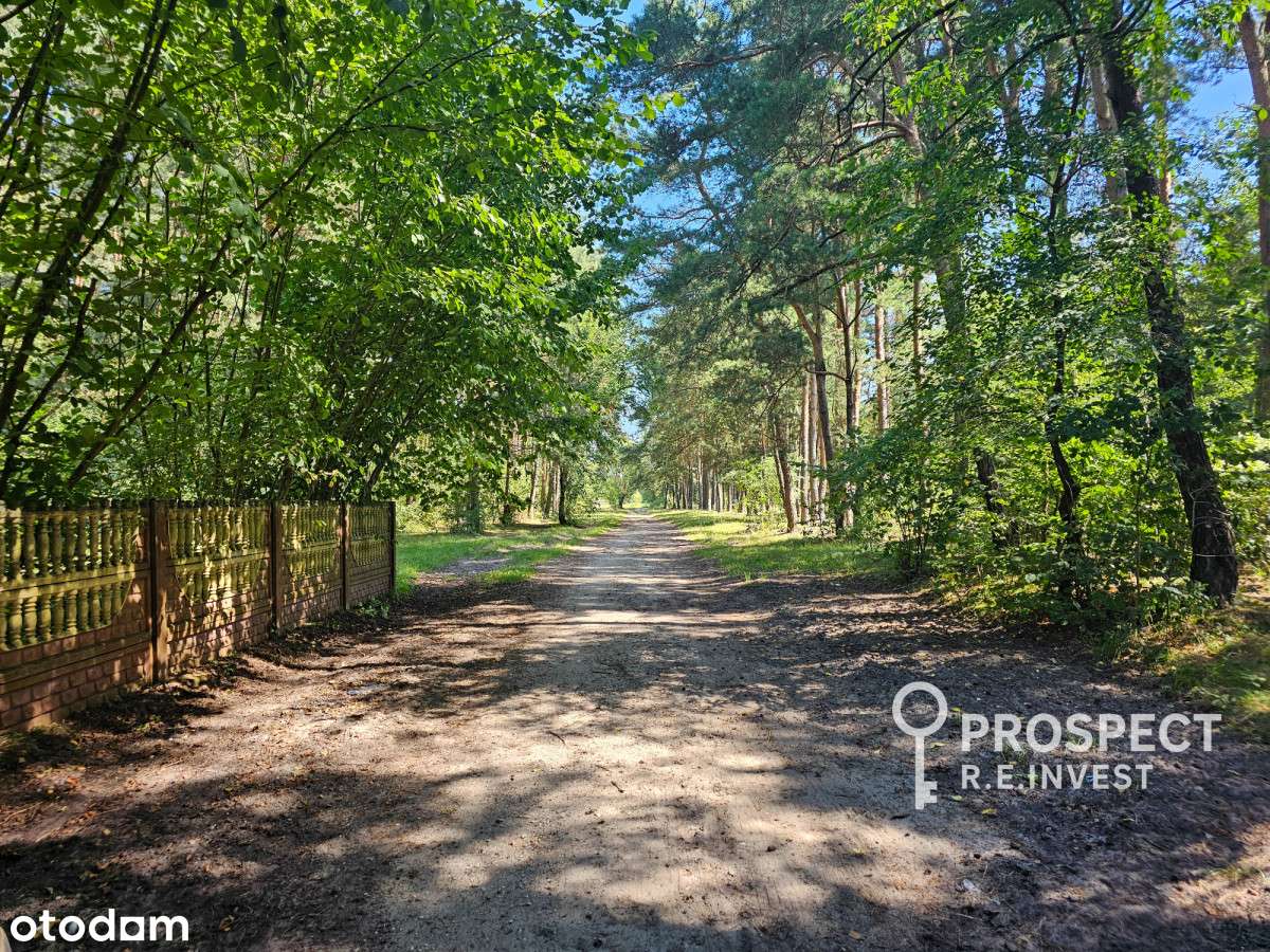 Dom, własny kawałek lasu, blisko rzeki, Pukarzów-12