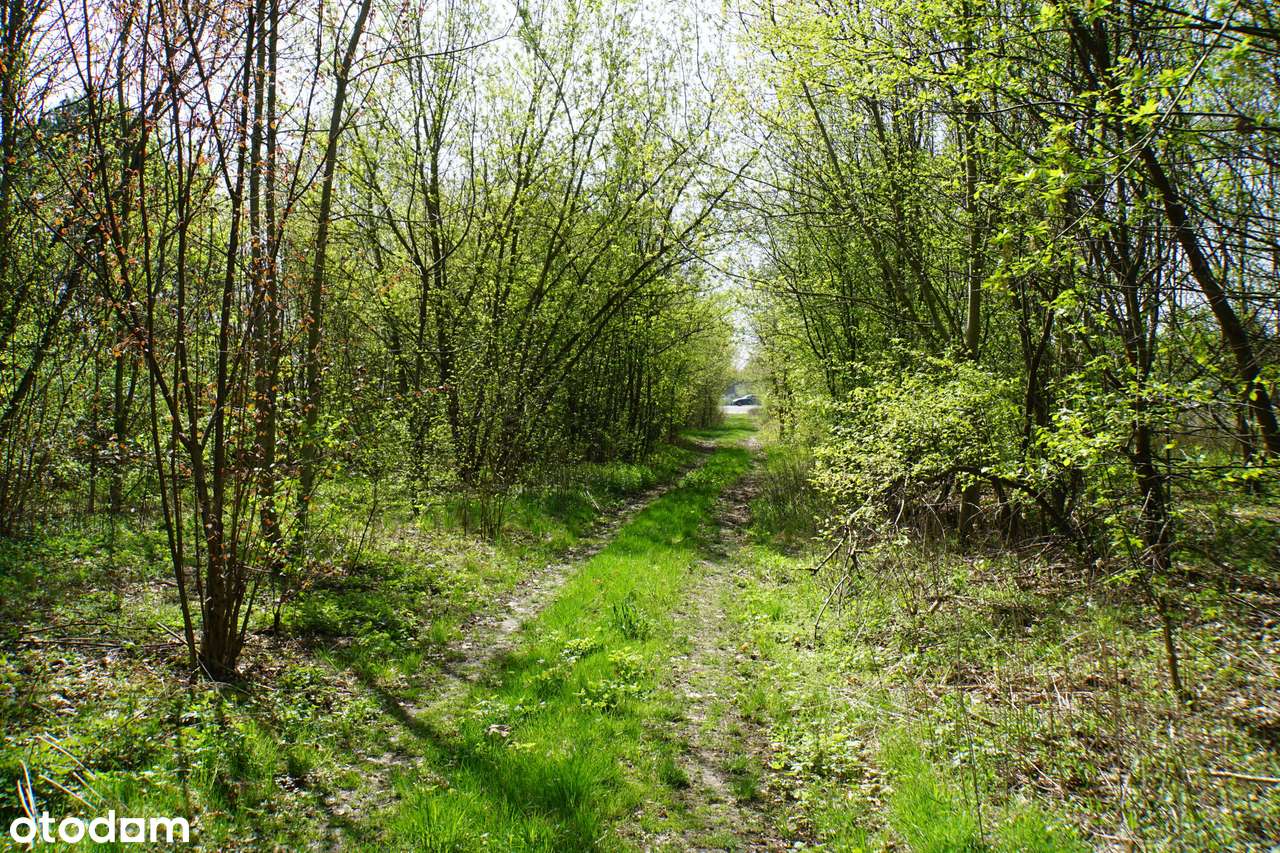 Działka, 600.0 m², Sulejówek-1