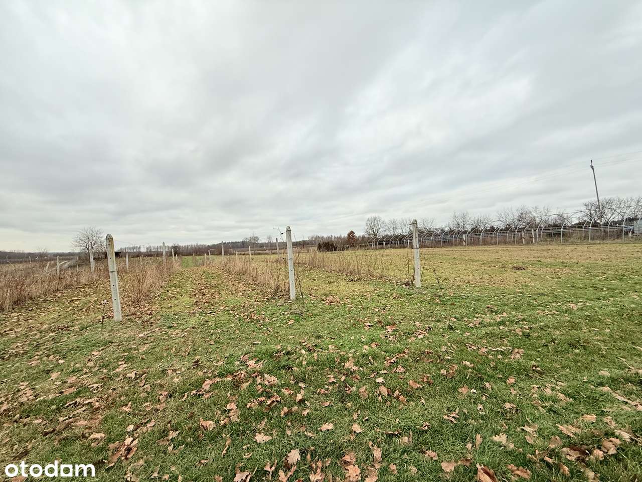 Dom 70 m² na dużej działce 1,04 ha – Godów, gmina Chodel-7