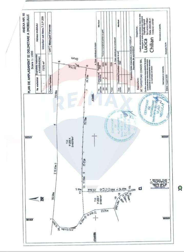 Teren intravilan  7370 mp in comuna Mera - Imagine principală: 3/6