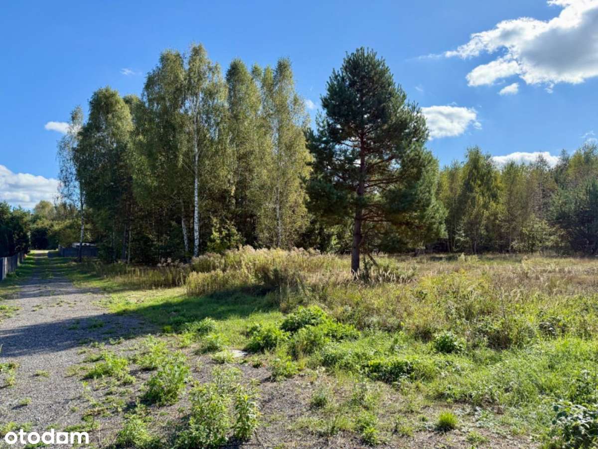 Malownicza Działka 7100m2!, Gmina Miedziana Góra - Pełny obrazek: 3/7