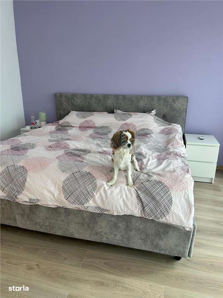 Casa de tip duplex cu 4 camere si teren de 300 mp in Cartierul Arhitec-5