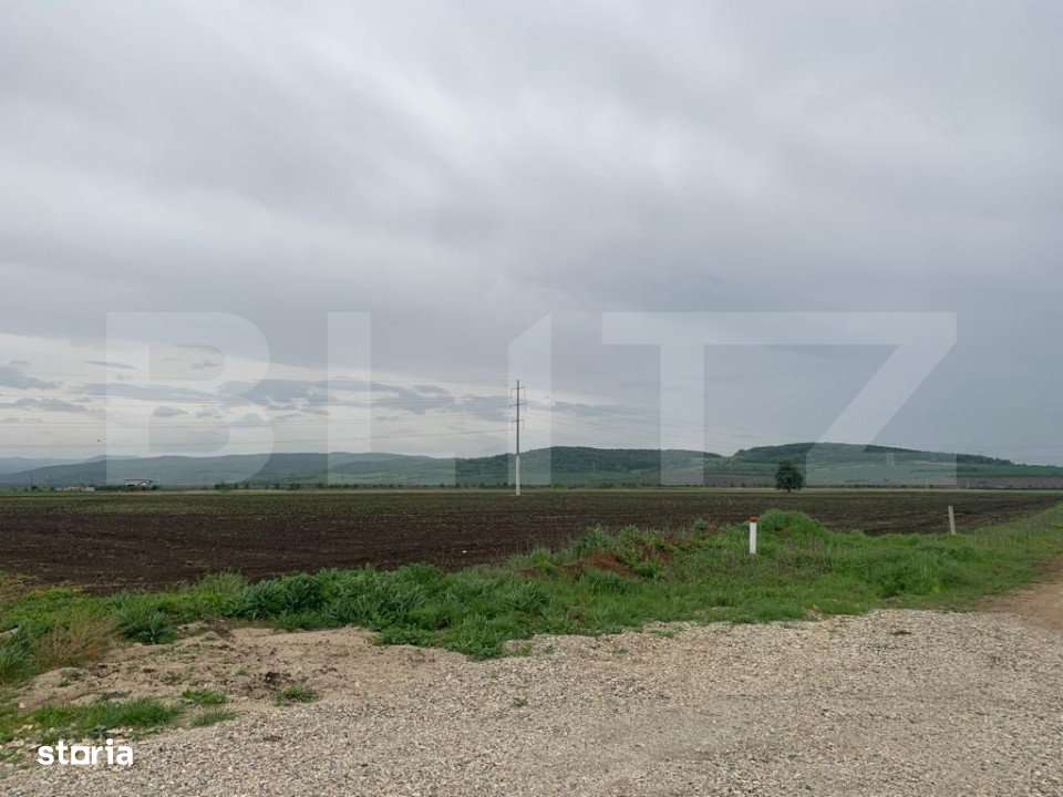 Teren intravilan, 6759 cu PUZ pentru hala, zona Alba-Sebes langa A1 - Imagine principală: 2/3