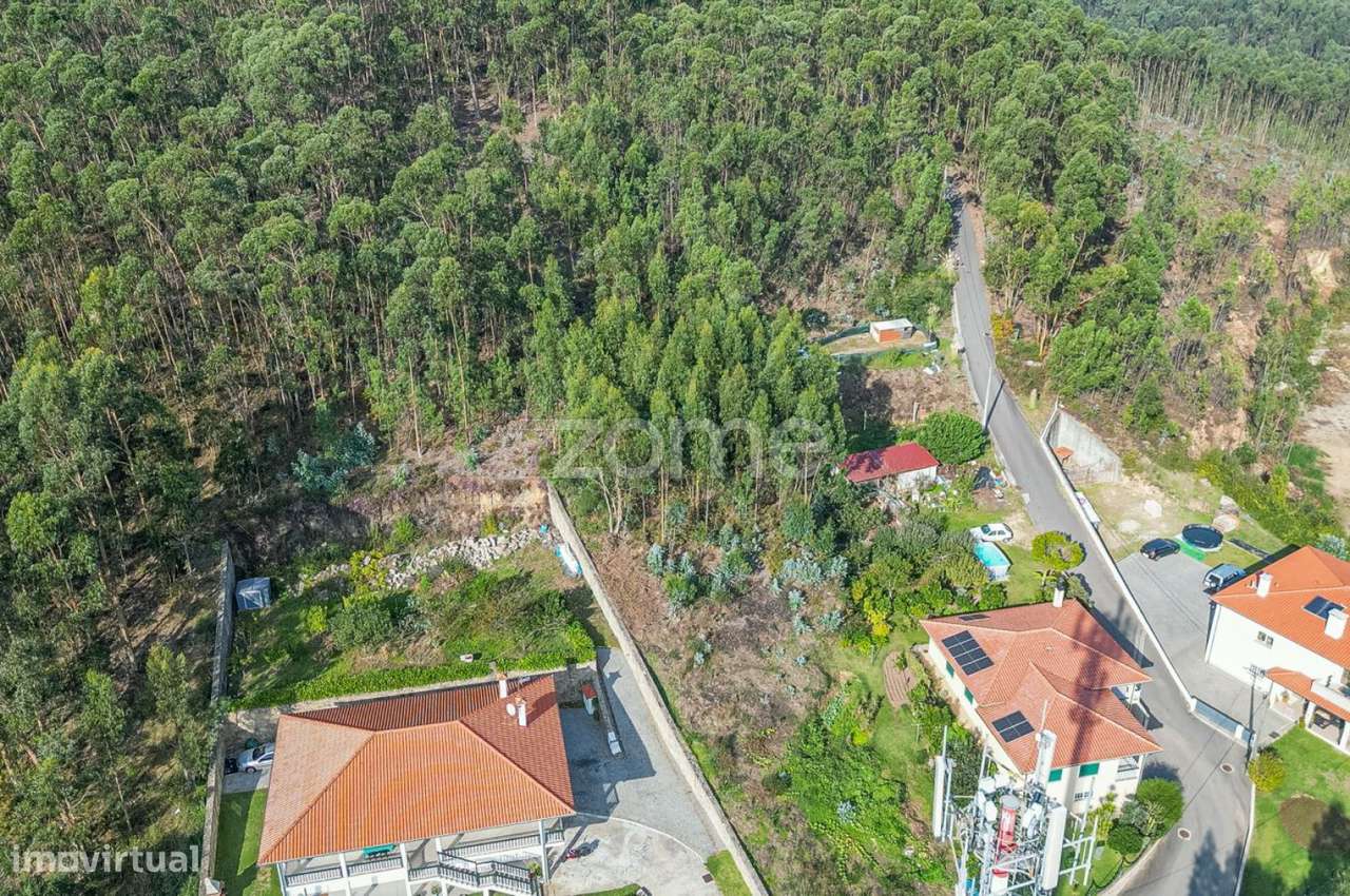 Terreno em Mujães - Grande imagem: 5/15