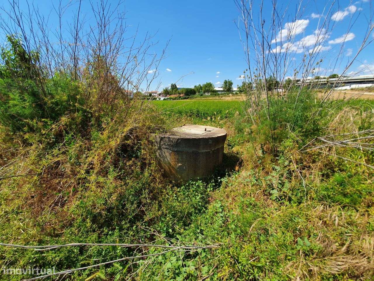 Vende terreno 1,5 hect Mirandela - Grande imagem: 3/22