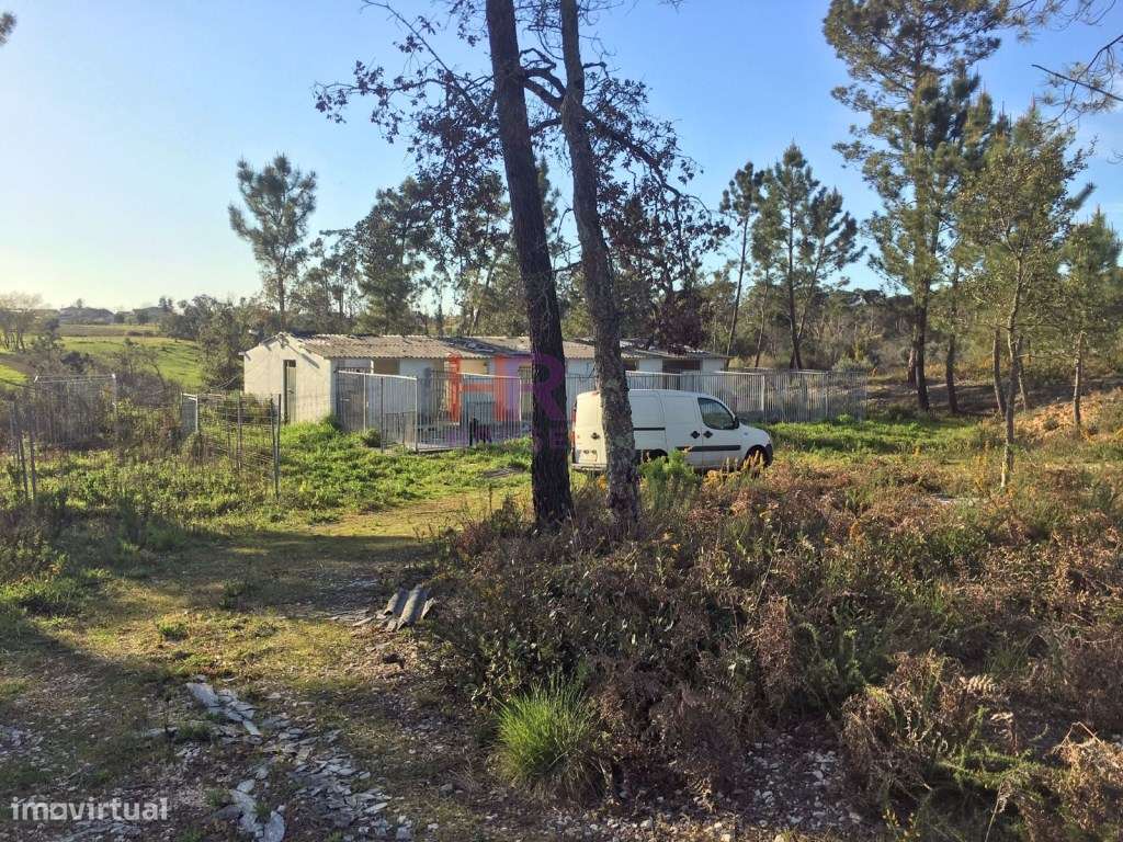 Terreno Misto - Grande imagem: 5/9