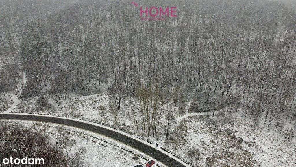 Sprzedam działkę z potencjałem - Faliszówka - Pełny obrazek: 5/5