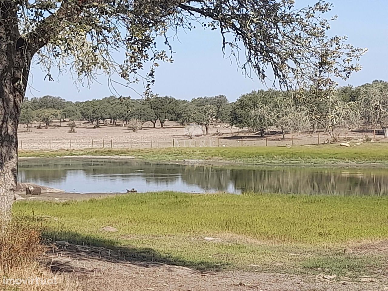 Herdade Ganadeira