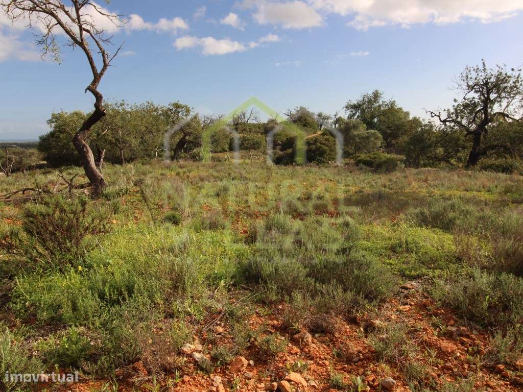 Terreno Rústico com Vista Mar em Vale Gralhas, Estoi - Grande imagem: 4/8