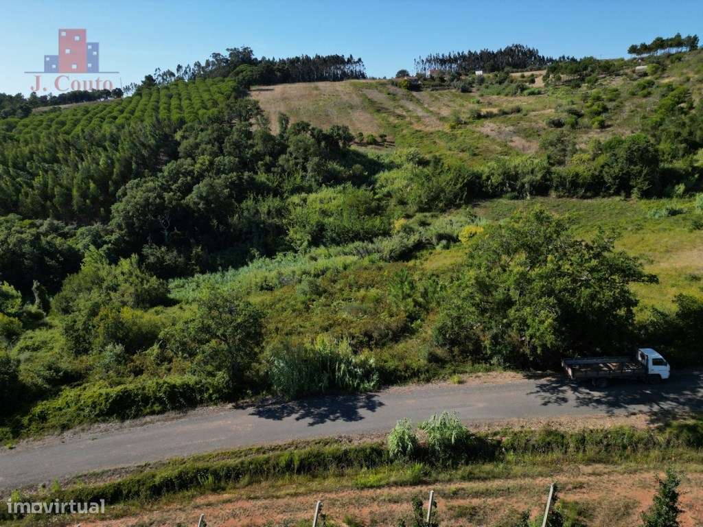 Terreno Rústico em Vidais, Caldas da Rainha - Grande imagem: 3/11